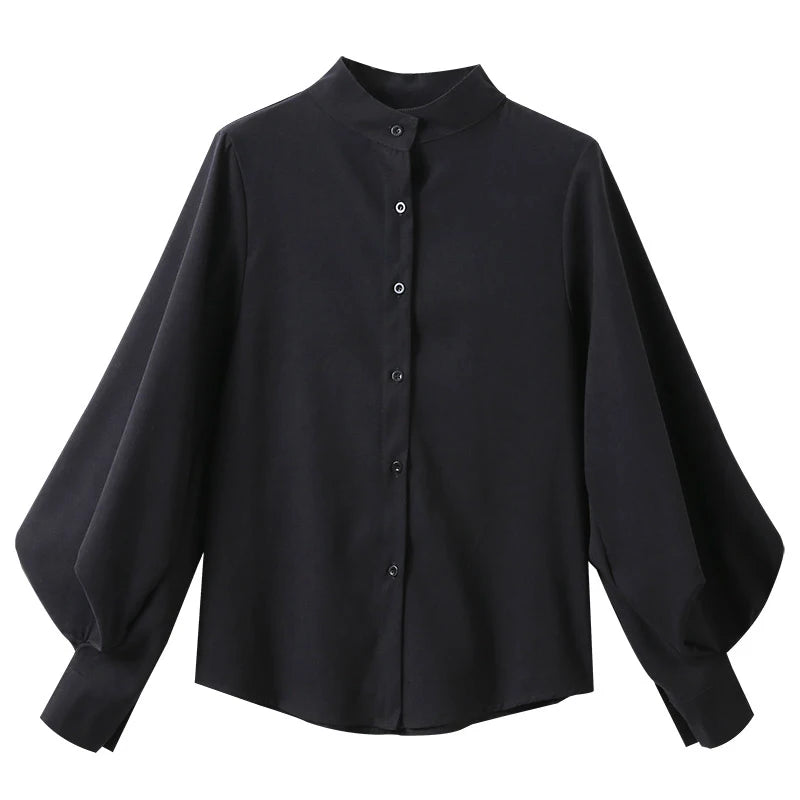 Lantern-Sleeve Blouse