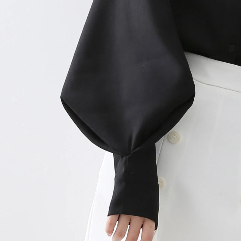 Lantern-Sleeve Blouse