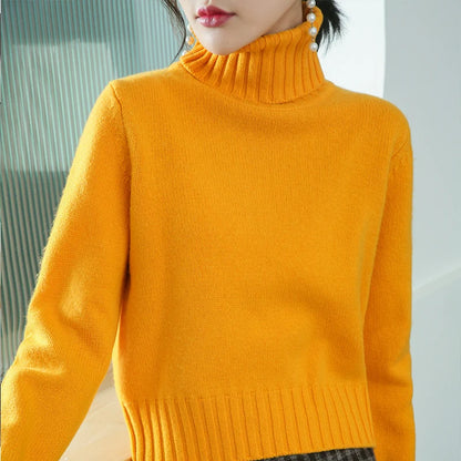 Beliarst Cashmere Chunky Turtleneck