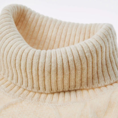 Cashmere Turtleneck Sweater